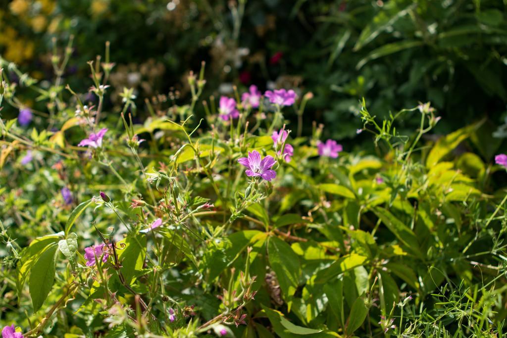 Mareham House Bed & Breakfast Sleaford Dış mekan fotoğraf